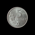 Polen — 5 Groszy — Adler und Nennwert — 1949 — Rückseite